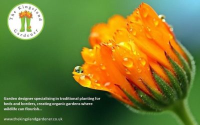 Looking forward to a busy year helping to create beautiful, wildlife friendly gardens.