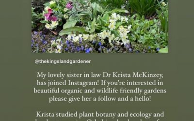 Such an inspiration with your wonderful garden designs